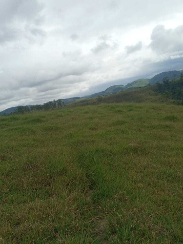 Imagem 12 de 14 de A 29 Super Lançamento De Lotes Não Perca Essa Oportunidade!!