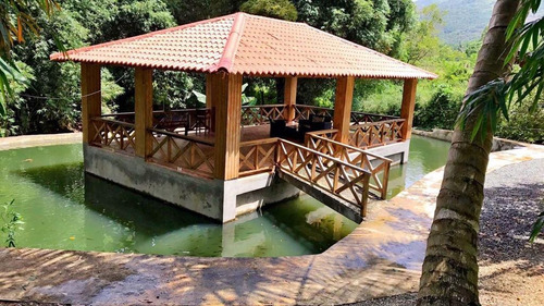 Imagen 7 de 12 de Casa De Campo En El Mogote