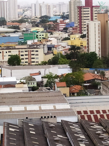 Imagem 18 de 22 de Ref.: 2289 - Apartamentos Com Condomínio, 2 Quartos,e 1 Vaga No Bairro Casa Branca,santo André - Sp - 2289