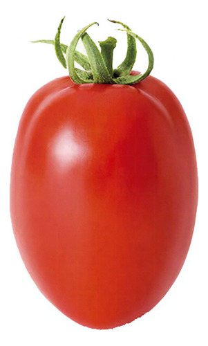 Sementes De Tomate Grazianni - 1.000 Sementes - Sakata