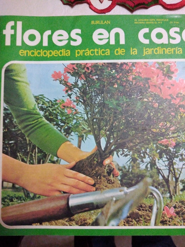 Revista Flores En Casa Vol 1 Burulan