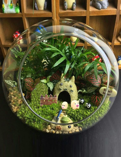 24 Piezas Adornos Jardín Miniatura Animales Del Jardín Hadas