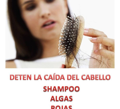 Imagen 2 de 7 de Shampoo Algas Rojas Bleuorganique Antí Caída, Vitamina E