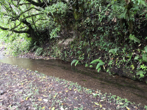 Increíble Terreno Con Agua