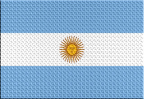 Parche Termoadhesivo Bandera Argentina