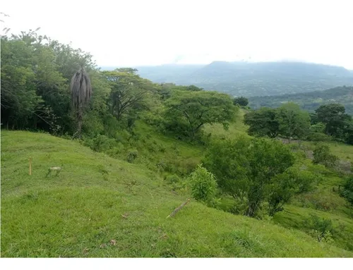 Vendo Lotes En La Pintada Con Vista A Farallones Desde 2.703 M²