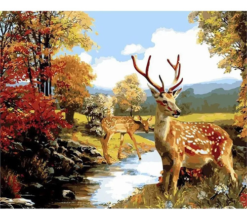 Pintura Por Numeros Venado Salvaje Fauna Manualidad 40x50