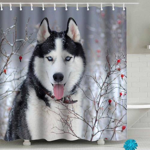 Faitove Cortina Ducha Para Perro Husky Siberiano Invierno In