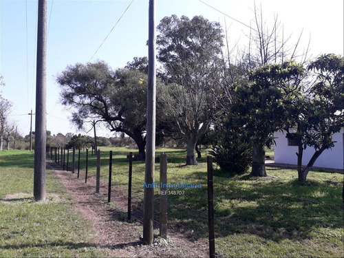 Chacra De 35 Has En Punta Espinillo