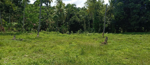 Vendo 9 Tareas De Terreno A 5 Minutos De La Playa En Los Robalos, Samaná, Rep.dom