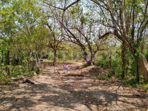 Terreno Rustico En Venta, Palenque Chiapas