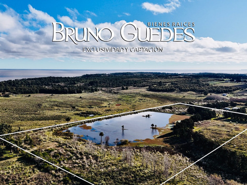 Campo En Venta Punta Espinillo 9,4 Ideal Emprendimientos Montevideo Rural