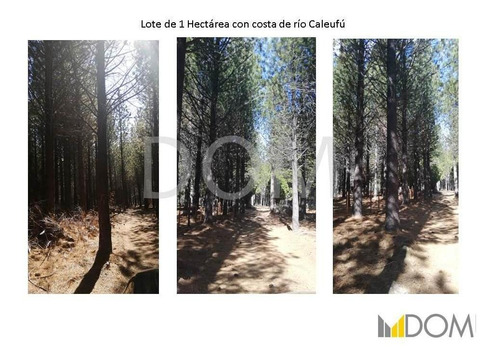 Imagen 10 de 13 de Impresionante Lote De 1ha Con Costa De Río
