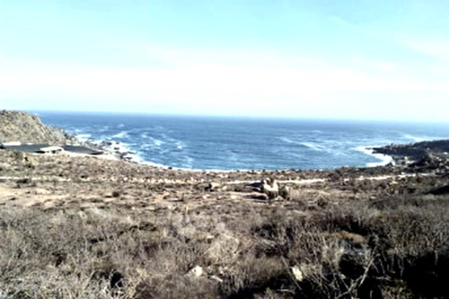 Parcela Frente Al Mar Sector Coquimbo El Panul