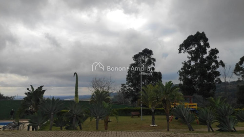 Imagem 3 de 9 de Terreno À Venda Em Jardim Pinheiros - Te016207