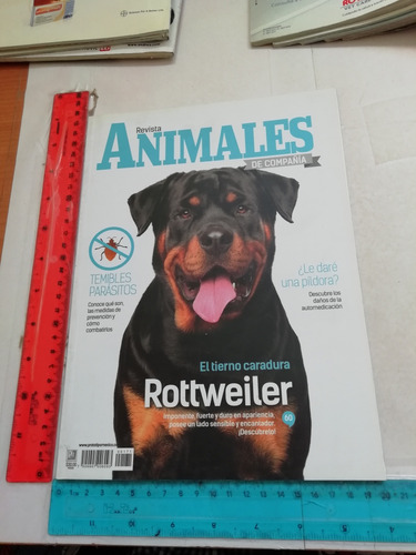 Revista Animales De Compañía N 171 Junio 2016