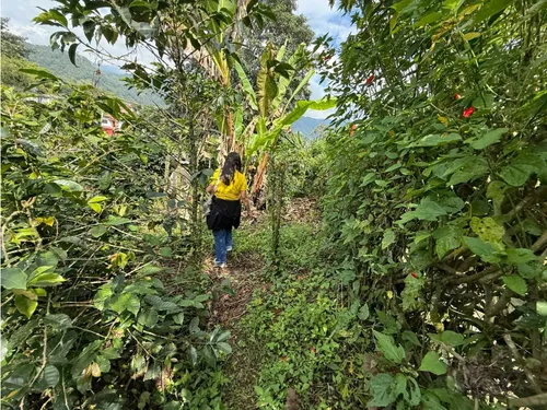 Se Vende Lote Vereda San Juan De Carolina