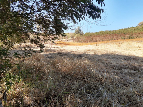 Imagem 1 de 10 de Chácaras Em Jacutinga Mg ( 100km De Campinas )