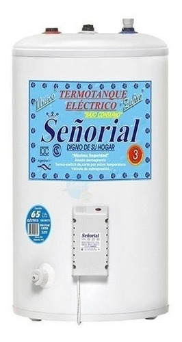 Termotanque Electrico Señorial 65 Litros Superior Selectogar