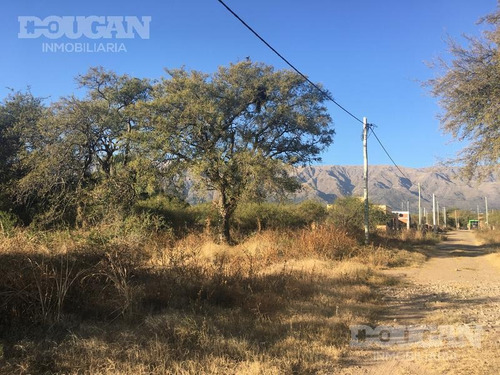 Imagen 4 de 8 de Terreno - Junin