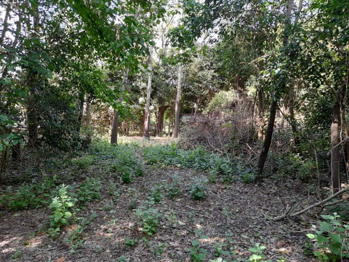Imagen 2 de 2 de Lote En Venta Cañuelas (barrio Peluffo) 2100 M2