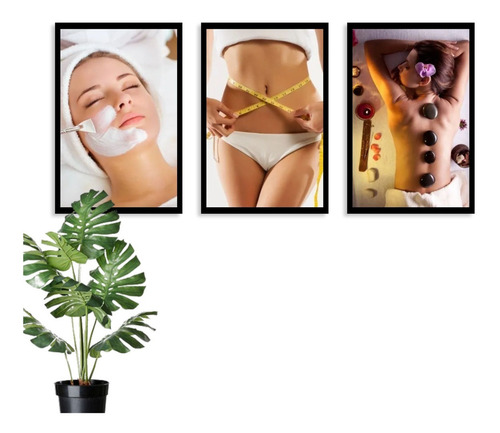 Kit 3 Quadros Decorativos Estética Corporal Spa Clínica