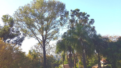 Imagem 6 de 30 de Chácara À Venda Em Bananal - Ch052914