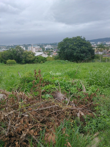 Imagem 3 de 7 de Terreno - Milanese - Ref: 1635 - V-1635