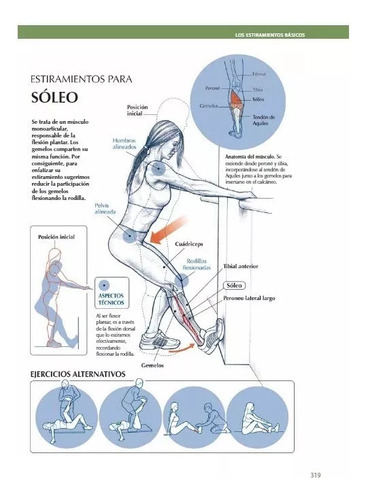 Amplitud De Movimiento Di Santo Mario.