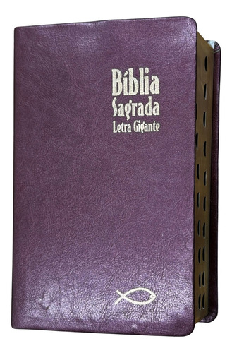 Bíblia Sagrada Revista E Corrigida Letra Gigante Com Palavras De Jesus Em Vermelho Dicionário E Concordância Capa Vinho Com Índice Lateral