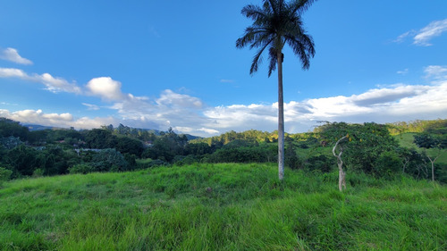 Vendo Finca De 20 Tareas De Tierra En Zona De Jarabacoa 