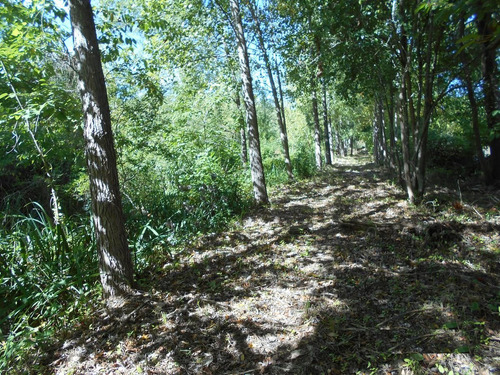 Imagen 9 de 9 de Terreno - Guayraca