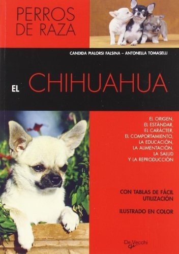Chihuahua Perros De Raza - Pialorsi Falsina Candida