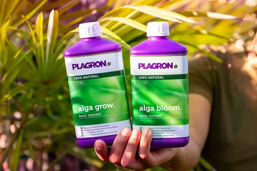 Fertilizante Orgánico Plagron Alga Grow 250ml Vegetativo