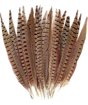 Comprar 10 Plumas De Faisán Naturales Plumas 20-25cm Color Marrón