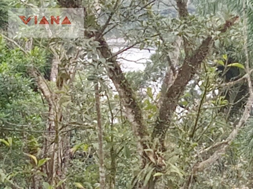 Imagem 13 de 15 de Chácara Em Taquacetuba - São Bernardo Do Campo - 11941