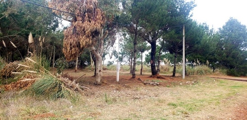 Imagen 3 de 7 de Venta Lote Terreno En La Lucila Del Mar