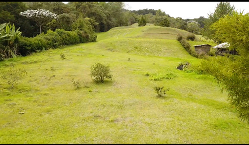 Lote Guarne  vereda  la Honda