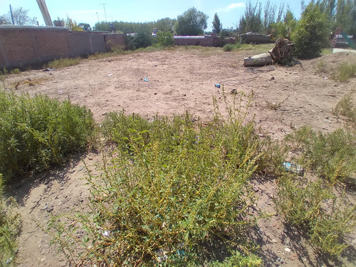 Lote En Mendoza, Cruz De Piedra, Maipú. Portunidad Única.