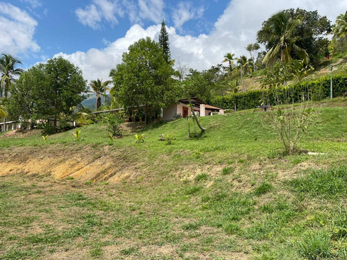 Imagen 24 de 30 de Espectacular Finca Clima Caliente En Venta Porce