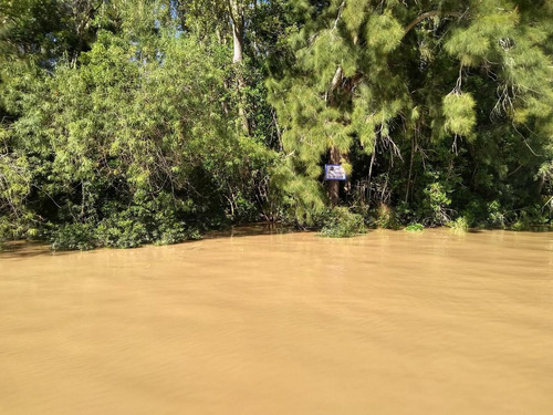 Imagen 2 de 7 de Terreno - Paraná Miní
