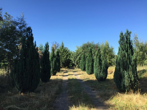 Venta Parcela Y Cabaña Acceso A Río Chillán - Las Mariposas