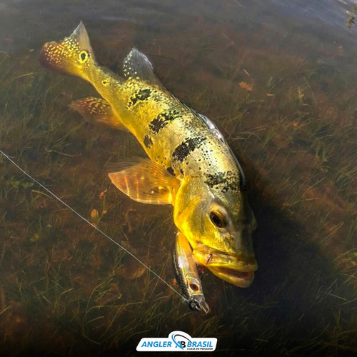 Cebo de pesca artificial Rio King de Marine Sports, 120 colores, 24