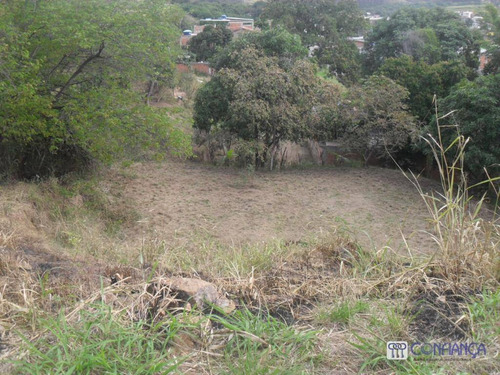 Imagem 8 de 13 de Sítio À Venda, 5725 M² Por R$ 2.800.000,00 - Cosmos - Rio De Janeiro/rj - Si0008