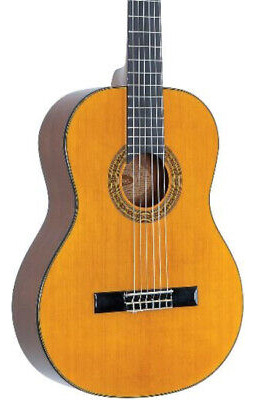 Washburn C40 Classical Guitar, Natural Eea