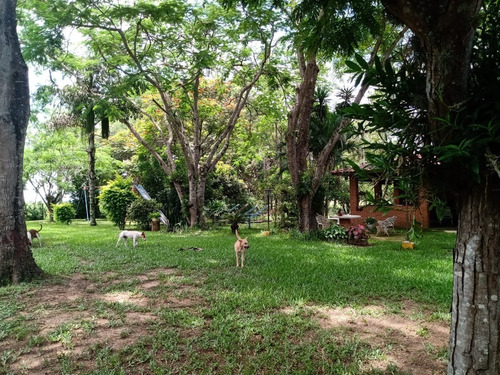Imagem 19 de 30 de Sítio 23 Alqueires,terra Fértil,muito Boa,rio Fundo Propriedade,benfeitorias Otima Estrutura,casa Sede 3 Dorms 1 Suíte,churrasqueira,piscina - St00050 - 69179656