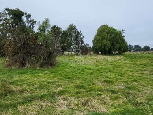 Parcela En Frutillar: Naturaleza Y Conectividad