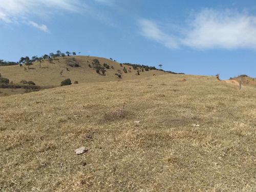Imagem 5 de 14 de Camanducaiamg Linda Chácara 1.500m2