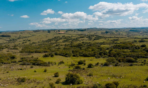 Venta Chacra De 36 Hectareas En Sierra De Pueblo Eden [código 491ma]