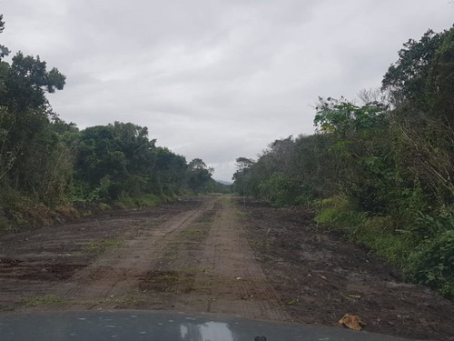 Imagem 7 de 9 de Terreno Na Praia Com 231 M², Em Itanhaém/sp Ter042-pc